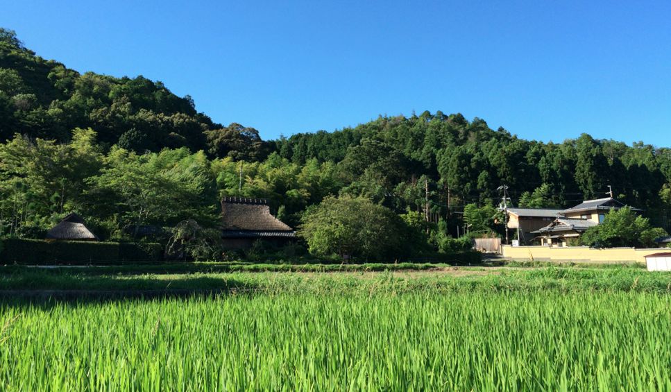 Sagano-Arashiyama-Kyoto