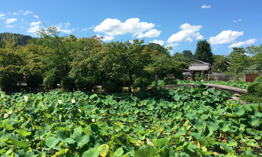 Tenryu-ji-Kyoto