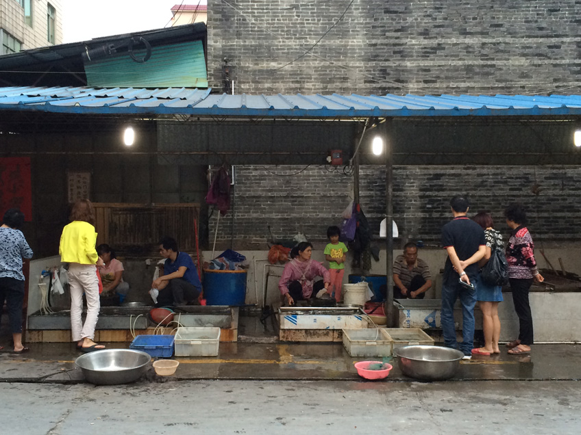 Shunde-Bijiang-marché-poissons