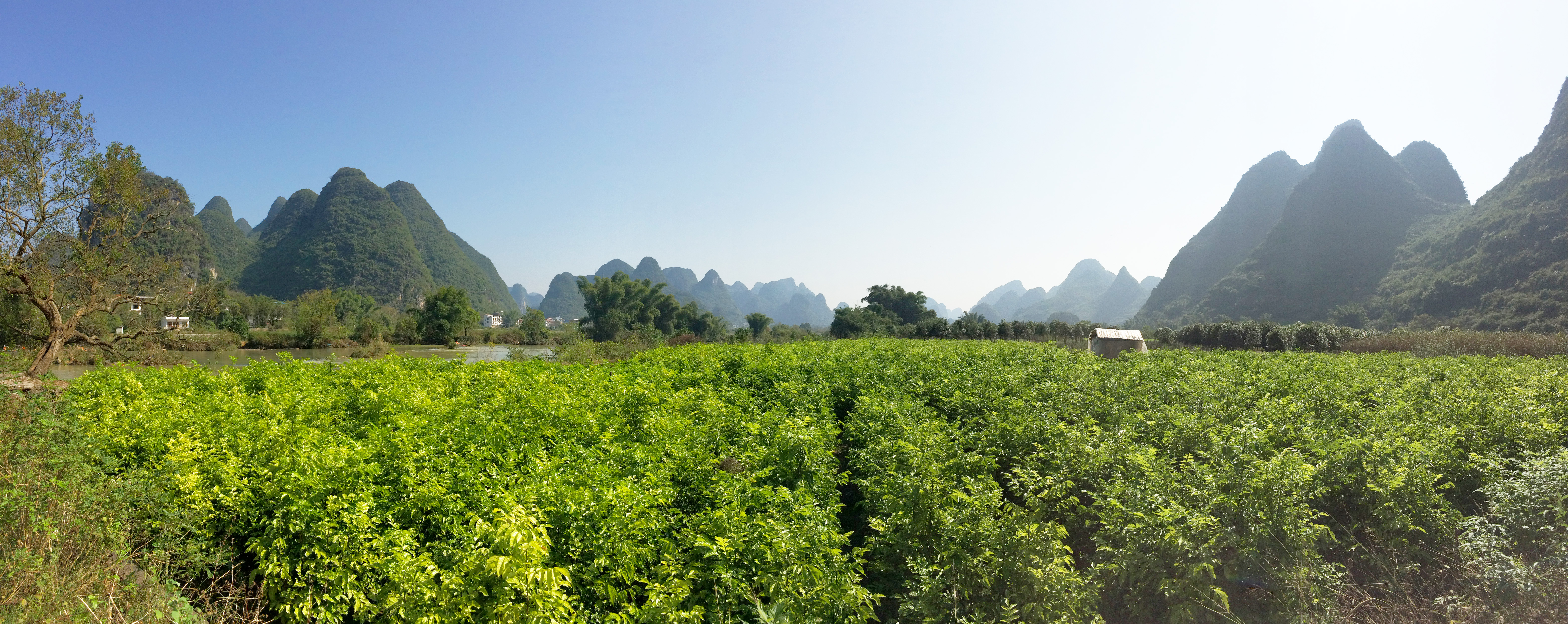 campagne-yangshuo-1