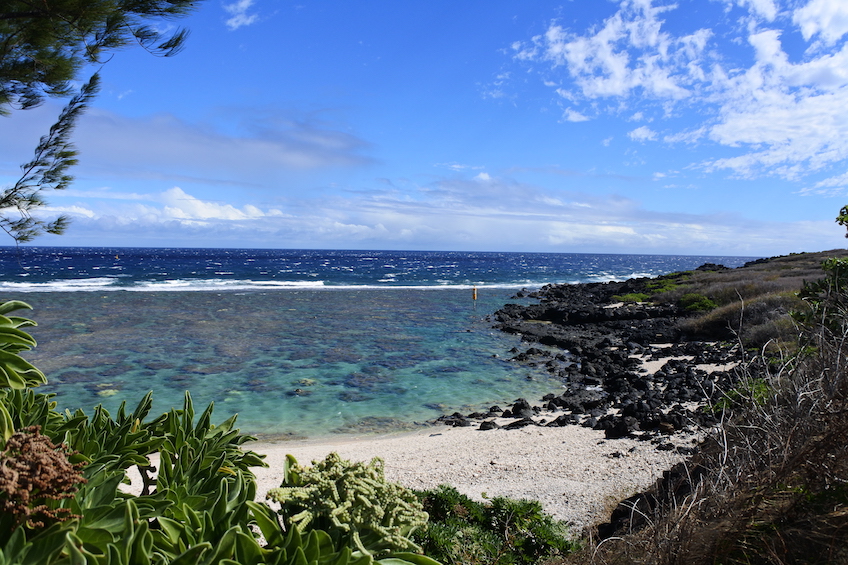 Saint-Leu-plage-1