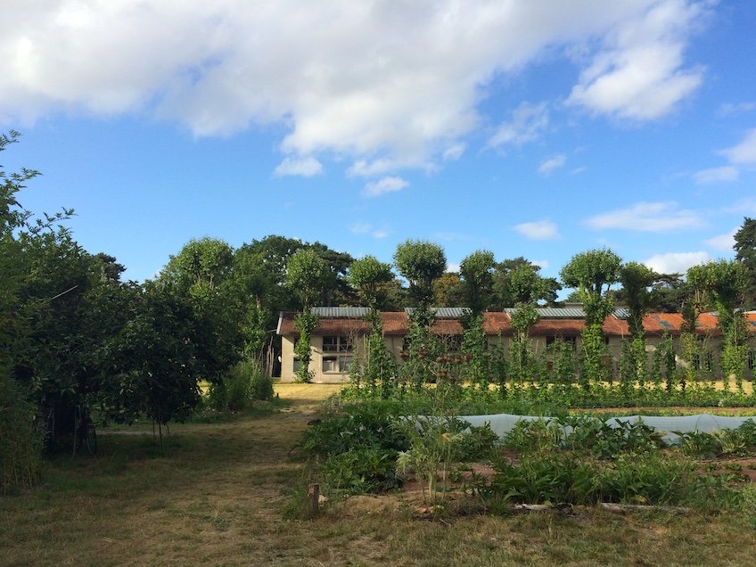 Jardin-d-agronomie-tropicale-potager-1