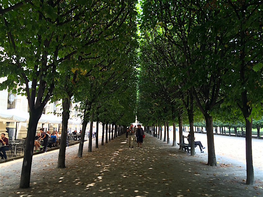 Jardin-palais-royal-2