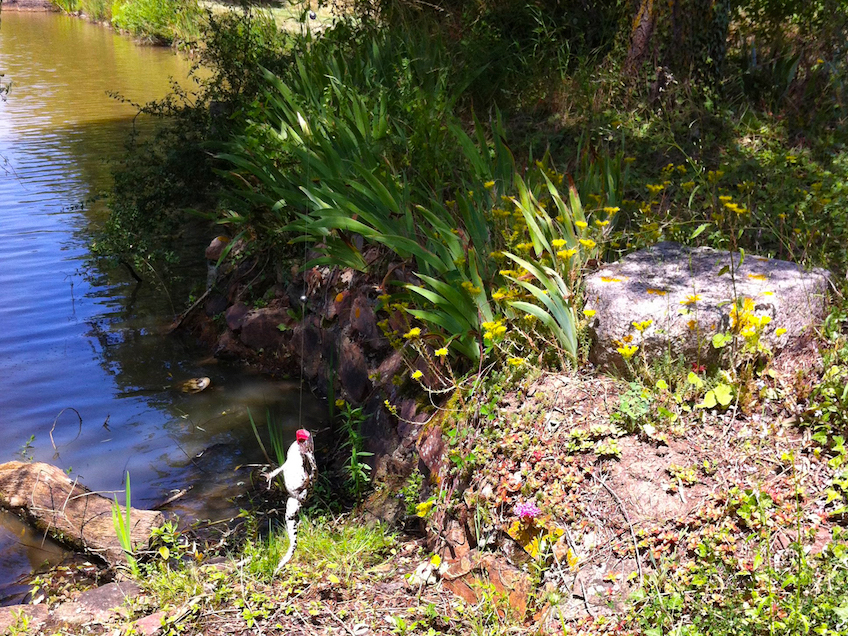 Week-end-ferme-Poitou-peche-grenouille