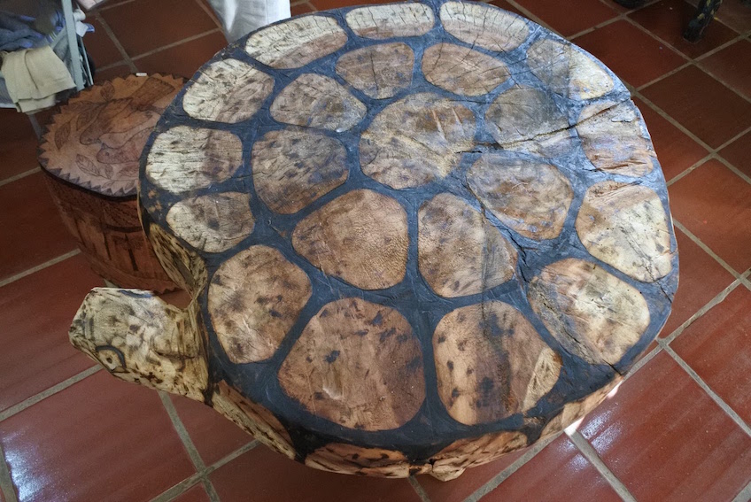 tortue-guarani