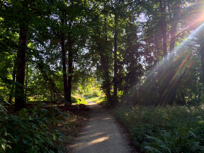 jardin-botanique-berlin-7