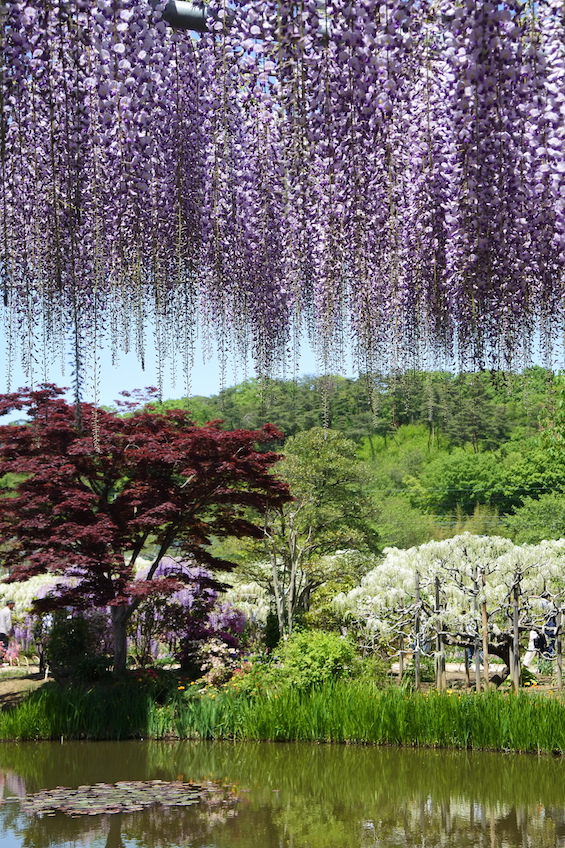 Parc Ashikaga Nikko