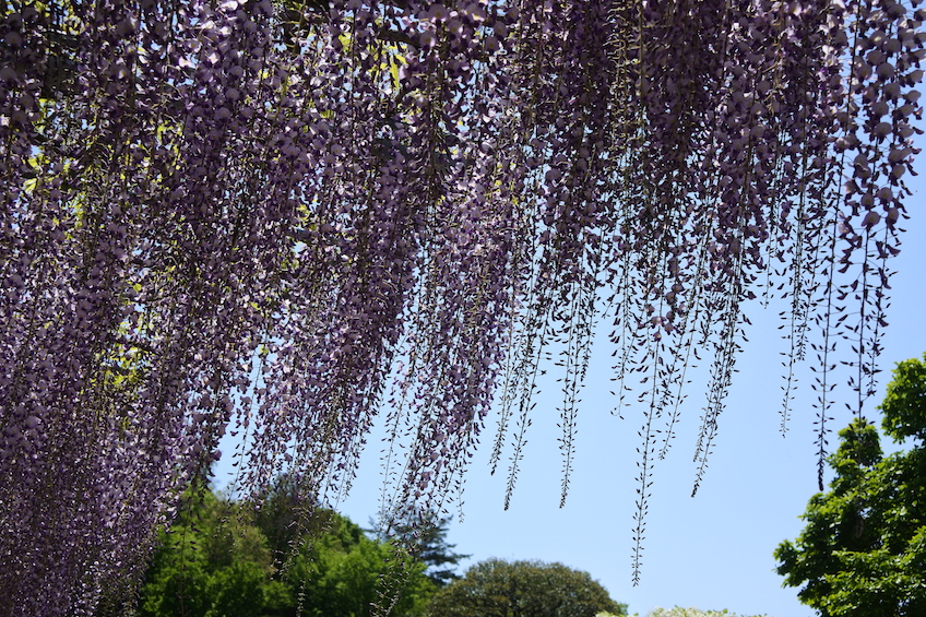 Parc Ashikaga Nikko