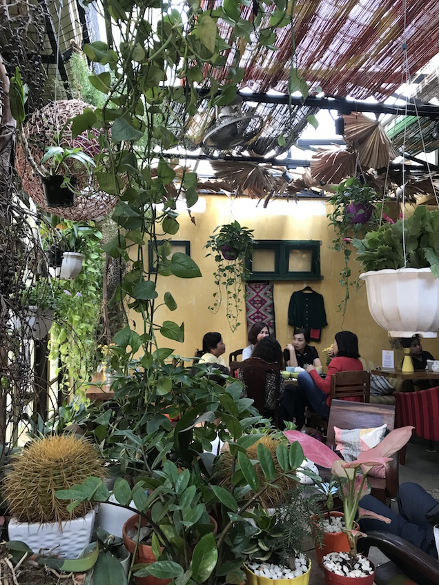 O tree cafe Hanoi