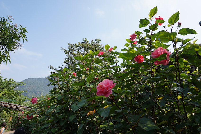 Mai Chau