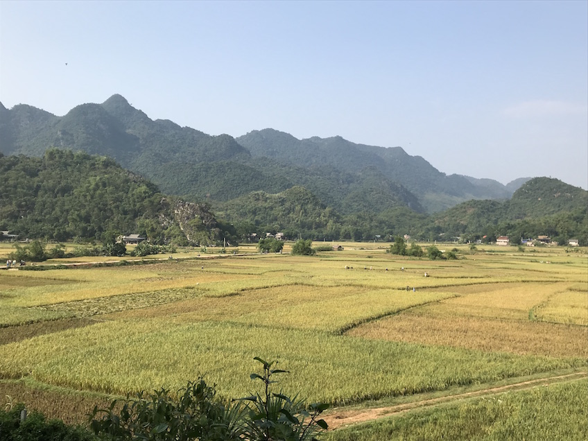 Mai Chau