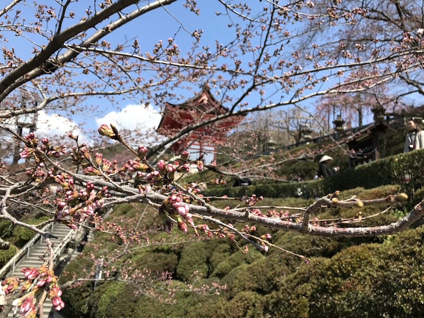 Kiyomizu Dera Kyoto