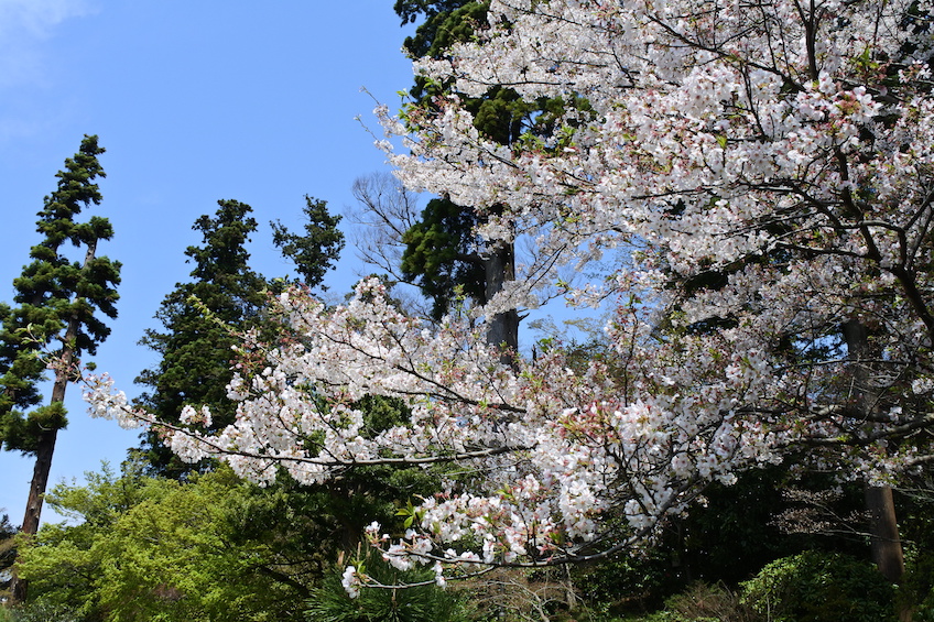 Engaku-ji Temples et sanctuaires de Kamakura