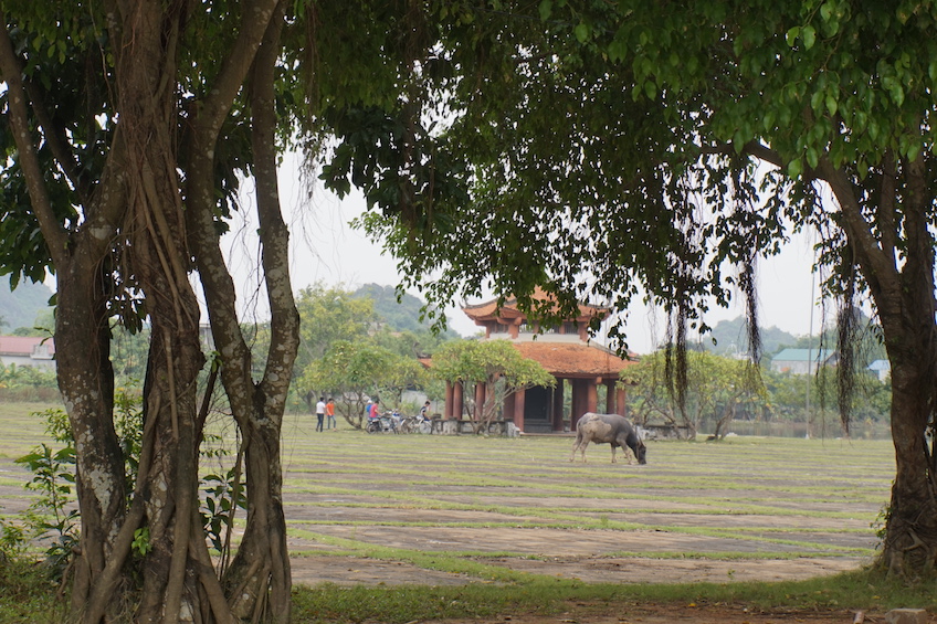 Hoa Lu Ninh Binh