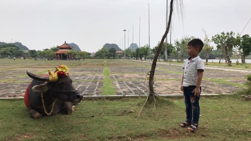 Hoa Lu Ninh Binh