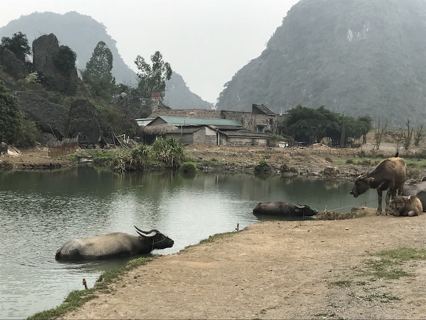 Ninh Binh Trang An