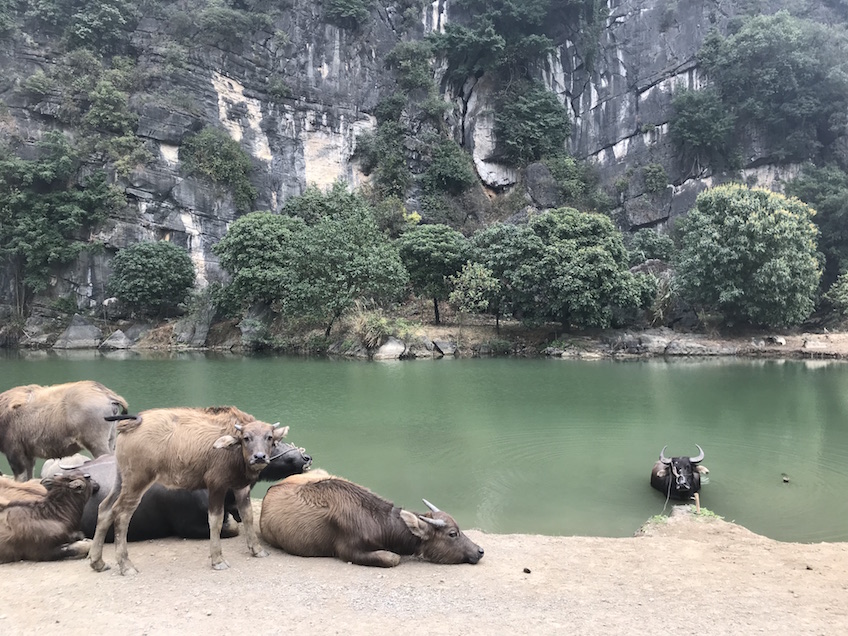 Ninh Binh Trang An