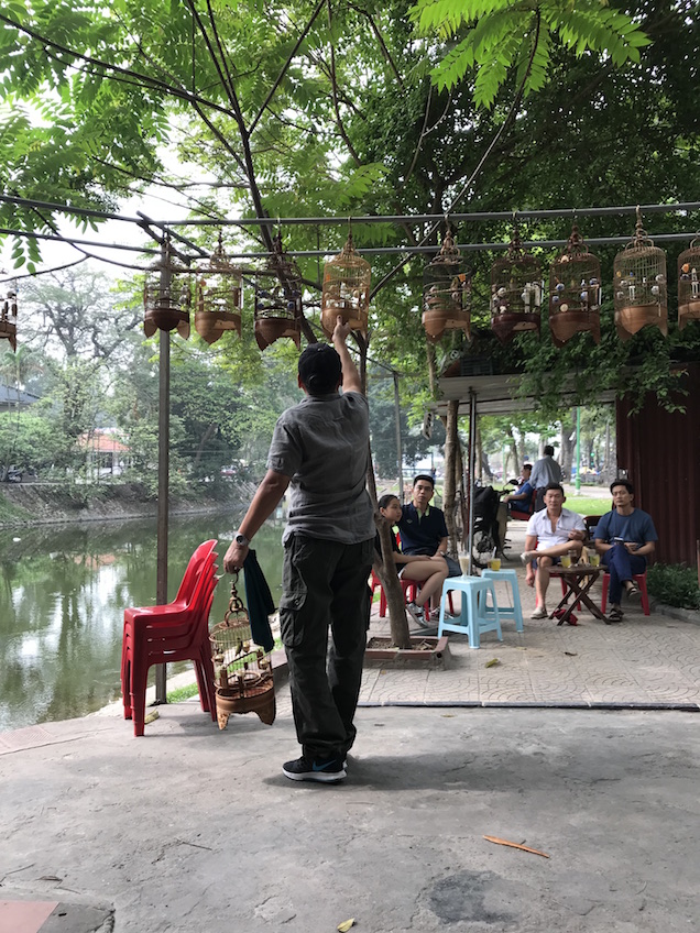 Café d'oiseaux chanteurs Hanoi