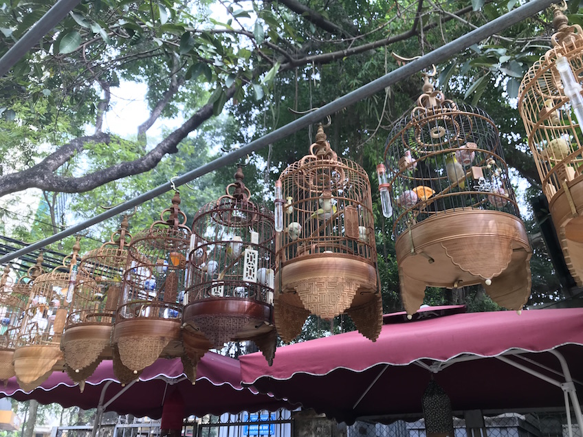 Café d'oiseaux chanteurs Hanoi