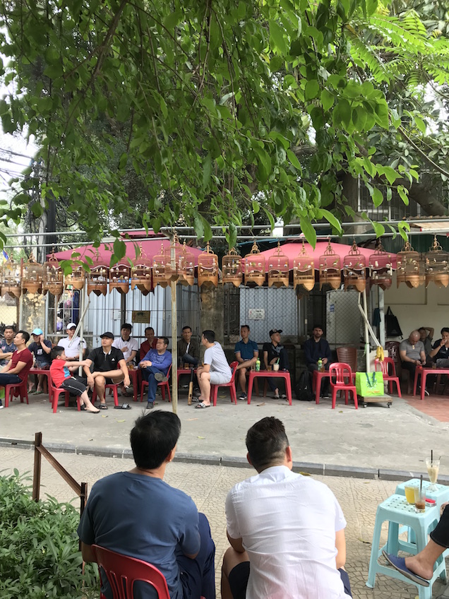 Café d'oiseaux chanteurs Hanoi