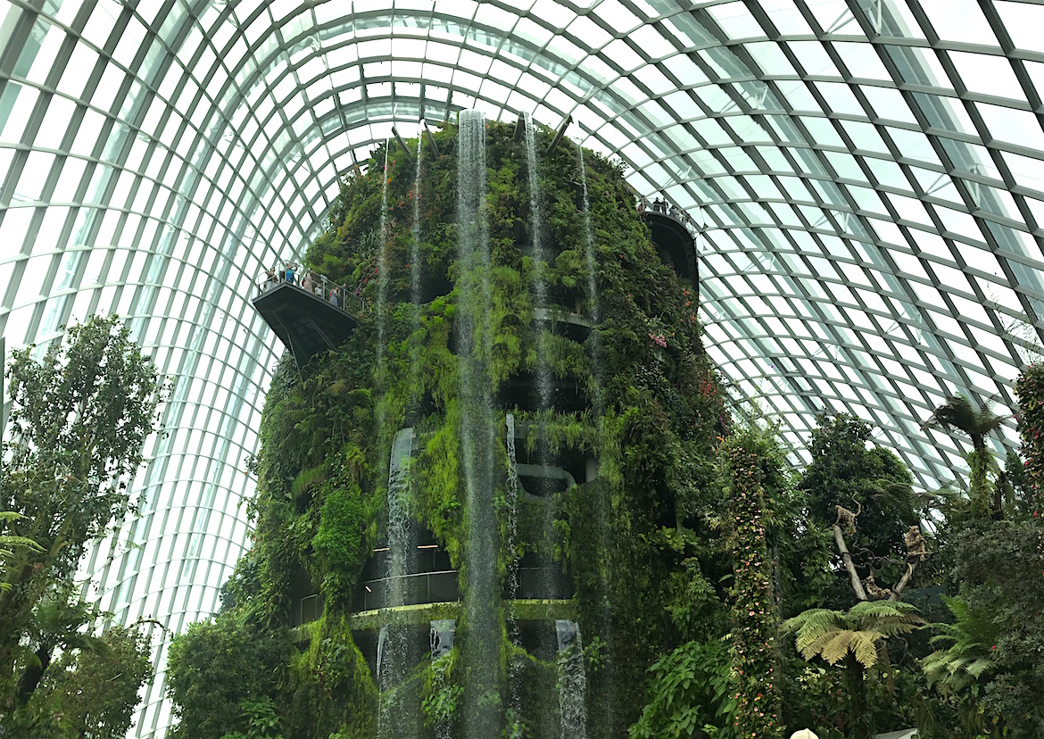 Gardens by the Bay Cloud Forest