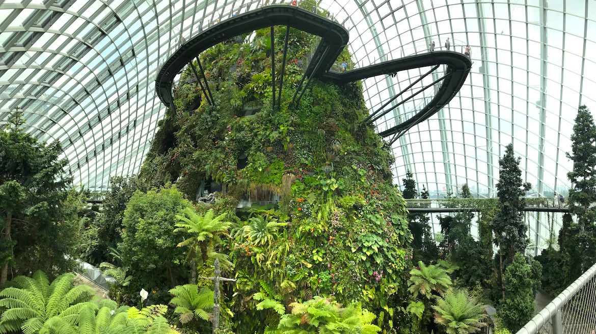 Gardens by the Bay Cloud Forest
