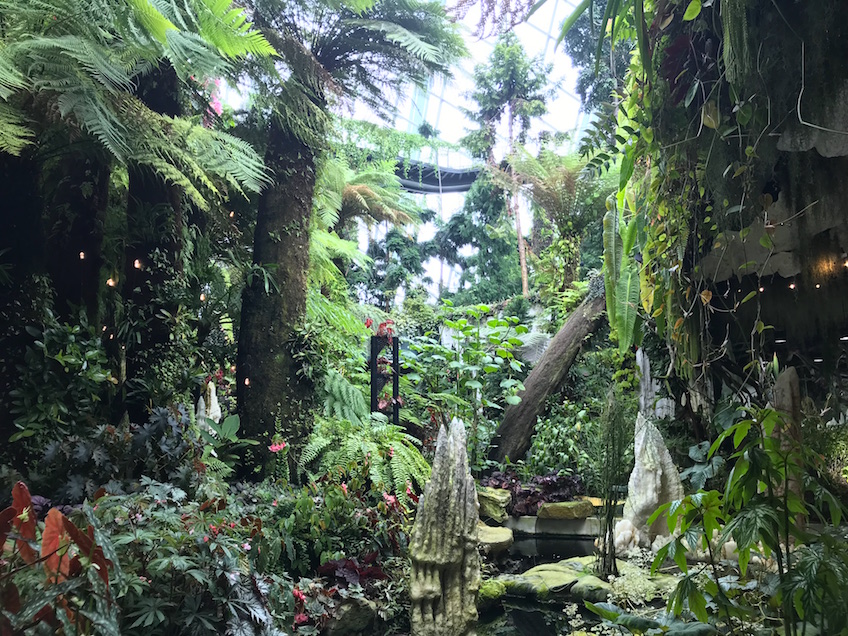 Gardens by the Bay Cloud Forest