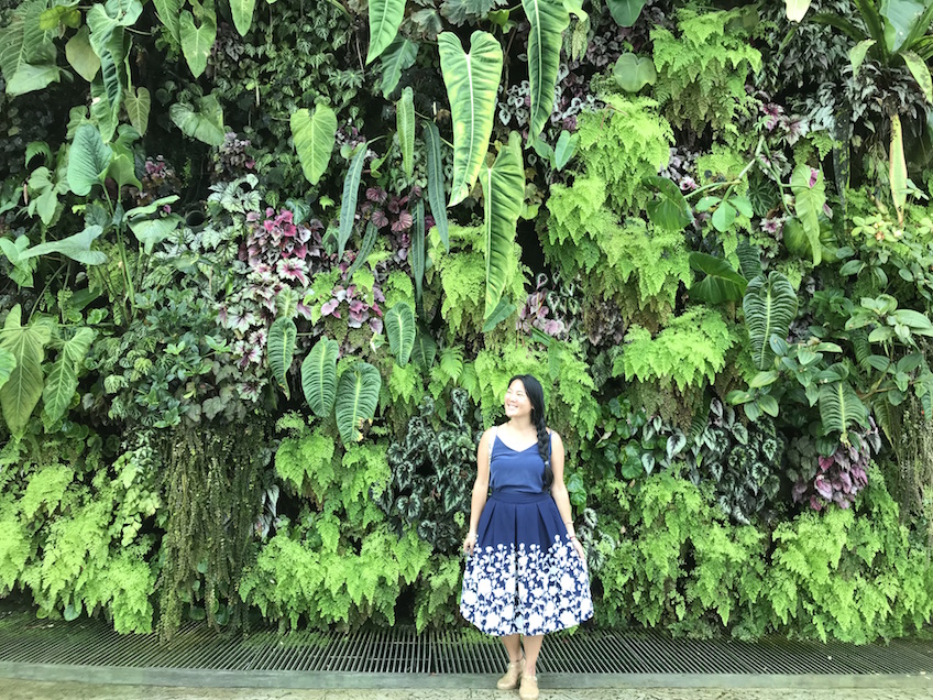 Gardens by the Bay Cloud Forest