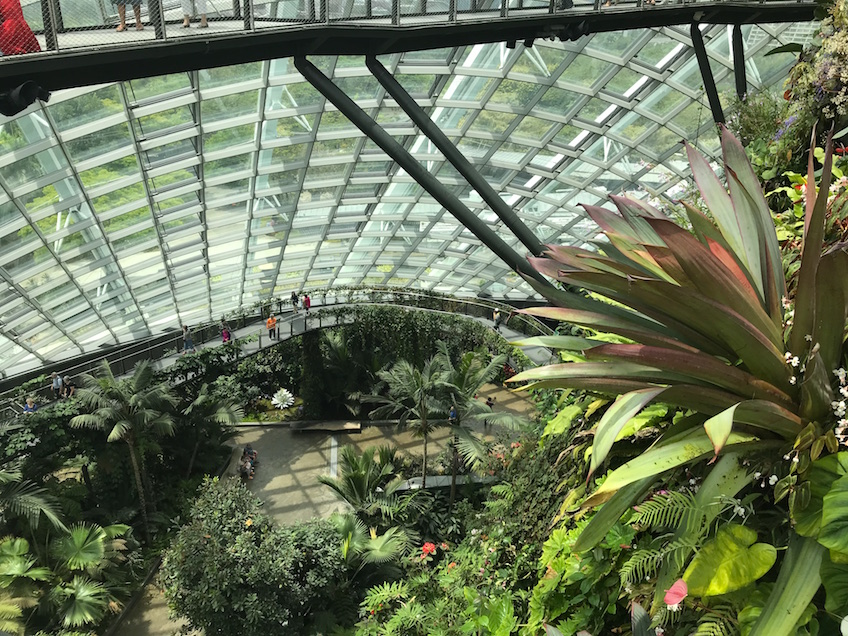 Gardens by the Bay Cloud Forest