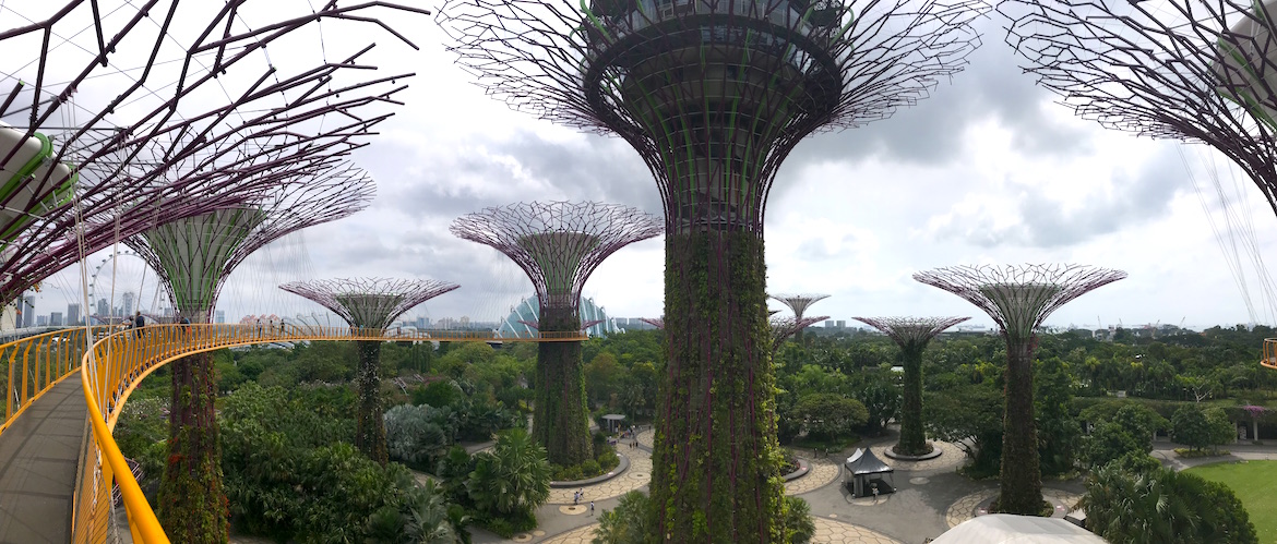 Gardens by the Bay OCBC Skyway