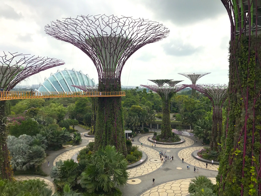 Gardens by the Bay Supertrees