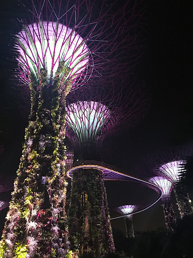 Gardens by the Bay Supertrees de nuit