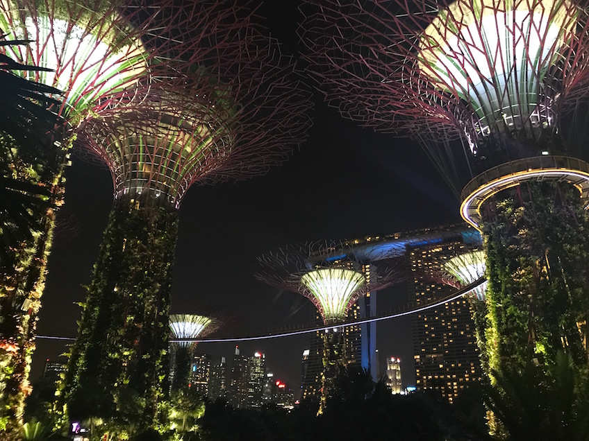 Gardens by the Bay Supertrees de nuit