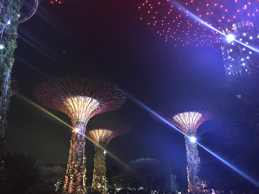 Gardens by the Bay son et lumière