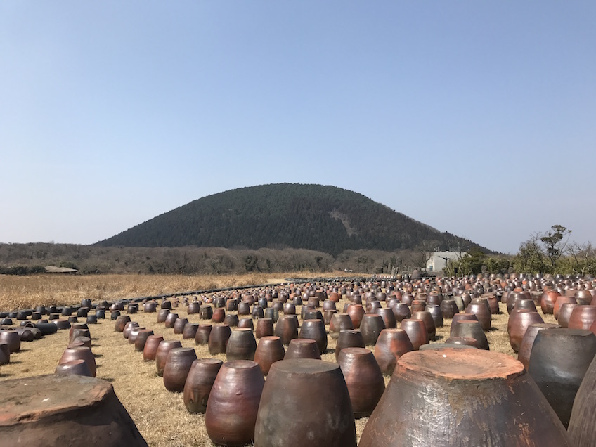 Jeju Stone Park