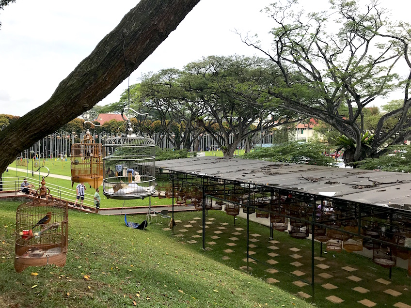 Kebun Baruh birdsinging club Singapour