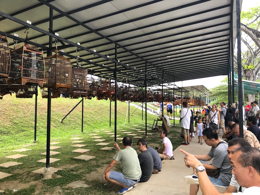 Kebun Baruh birdsinging club Singapour