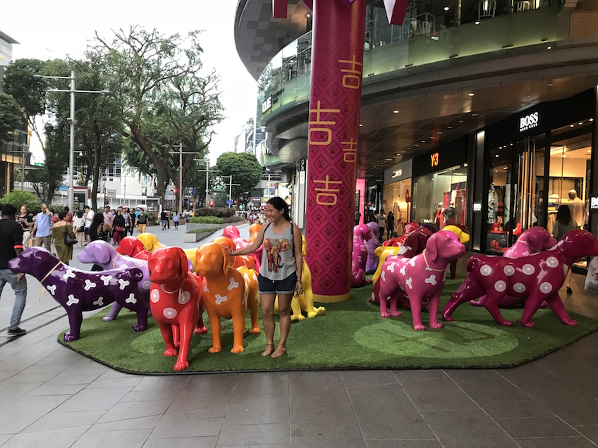 Singapour Annee du chien 2018