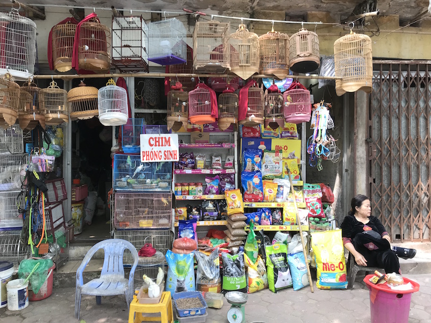 Vendeurs d'oiseaux Hanoi rue Tran Binh Trung