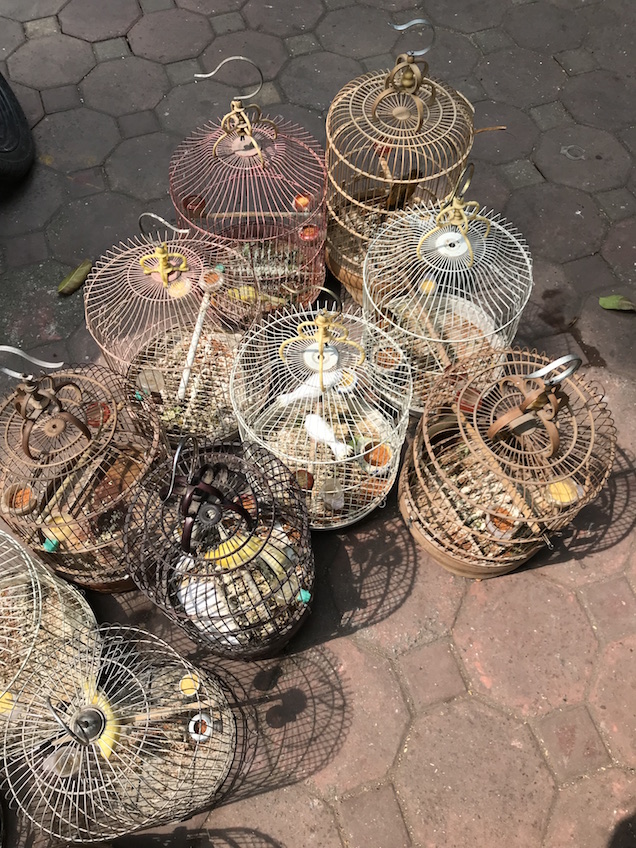 Vendeurs d'oiseaux Hanoi rue Tran Binh Trung