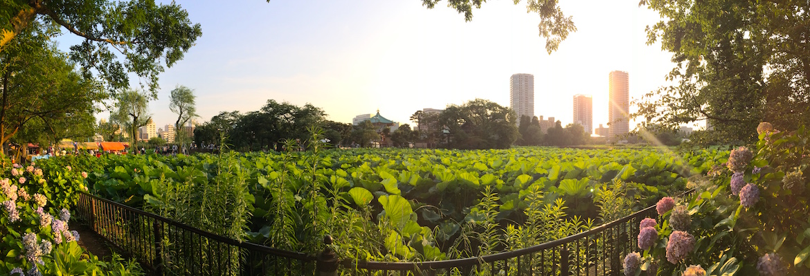 Parc Ueno Tokyo