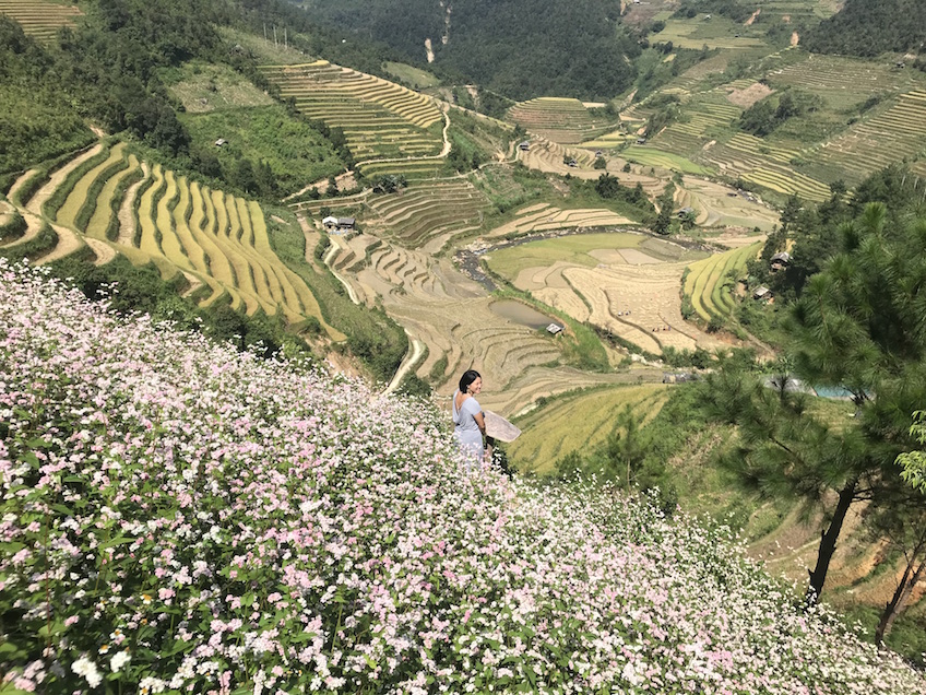 Hello Mu Cang Chai Homestay