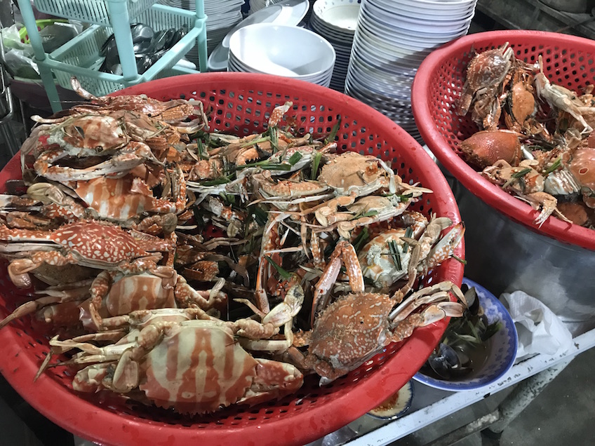 King crab Quy Nhon crabe rouge