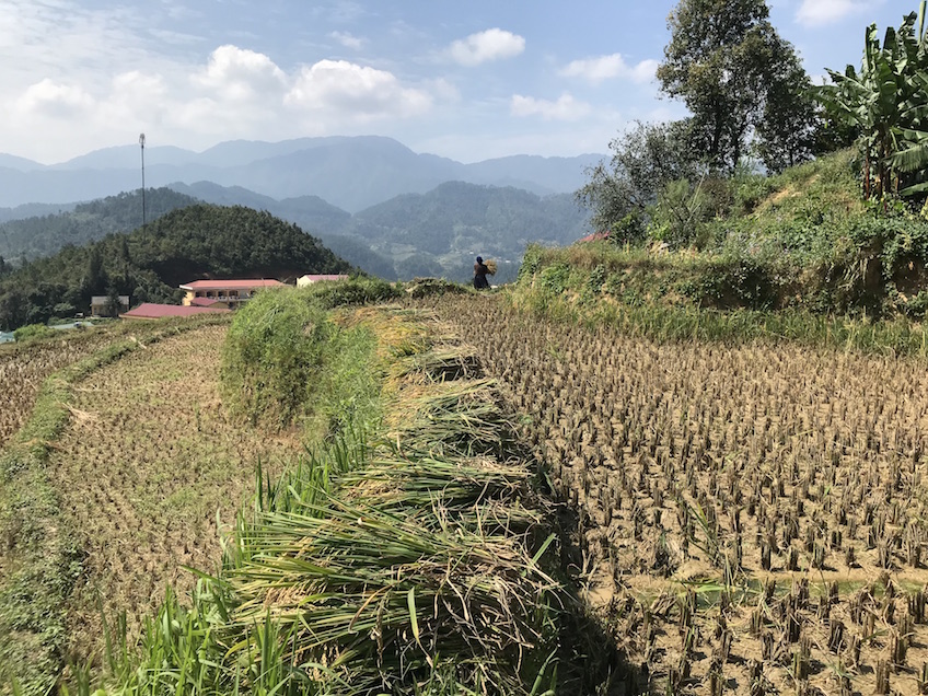 La Pan Tan Mu Cang Chai Vietnam