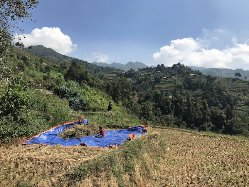 La Pan Tan Mu Cang Chai Vietnam