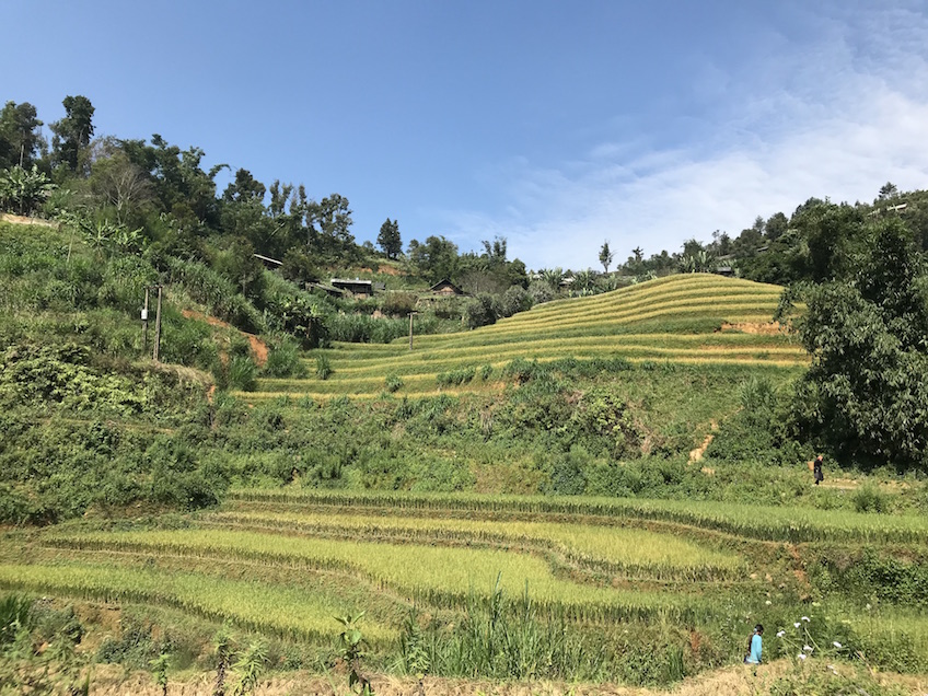 La Pan Tan Mu Cang Chai Vietnam