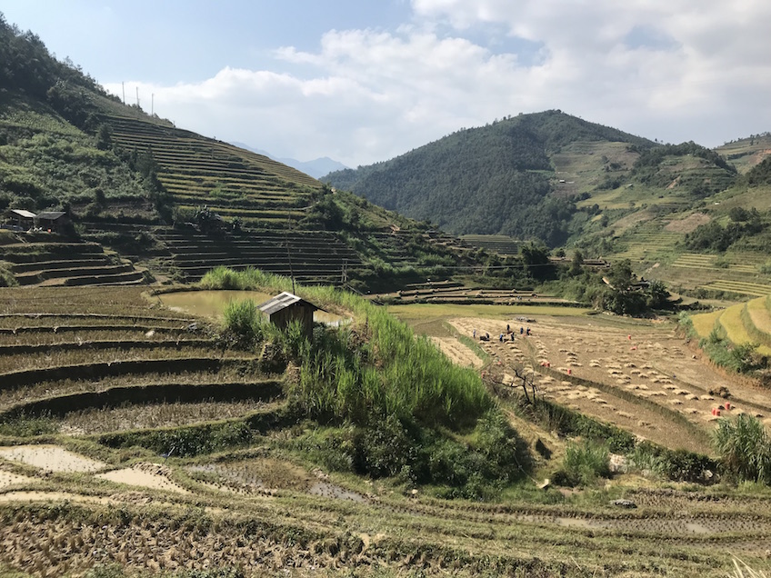 La Pan Tan Mu Cang Chai Vietnam