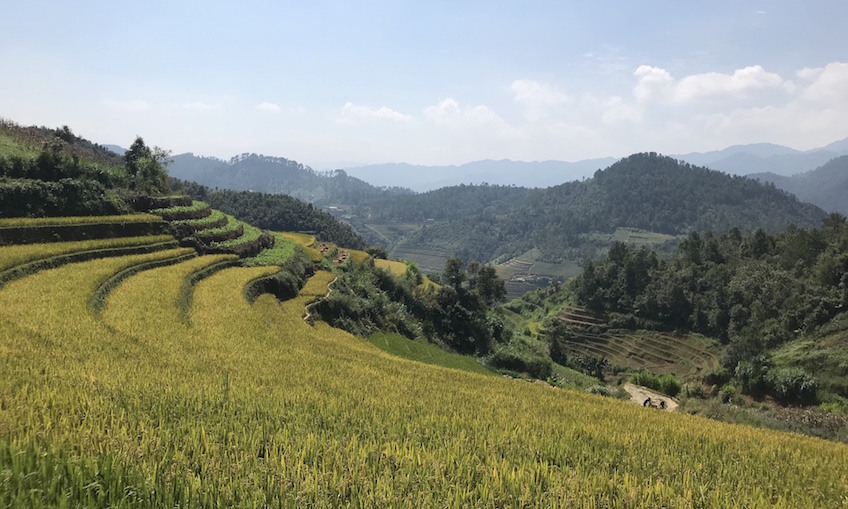 La Pan Tan Mu Cang Chai Vietnam