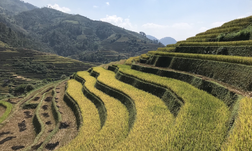 La Pan Tan Mu Cang Chai