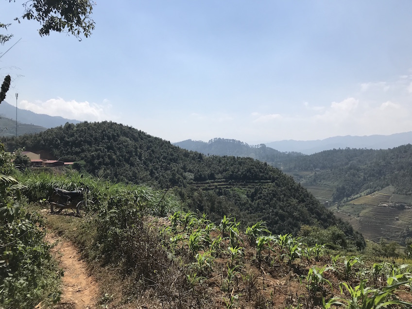 La Pan Tan Mu Cang Chai Vietnam